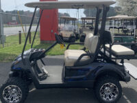 2008 Yamaha 48volt