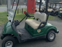 2014 Yamaha GAS 2850 17 Available