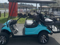 2015 Yamaha Gas EFI