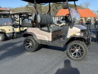 2025 Denago Nomad XL LSV(2)