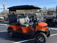 2025 Denago Rover XL LSV(1)2